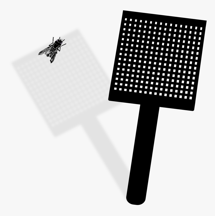 Fly And Swatter - House Fly, HD Png Download