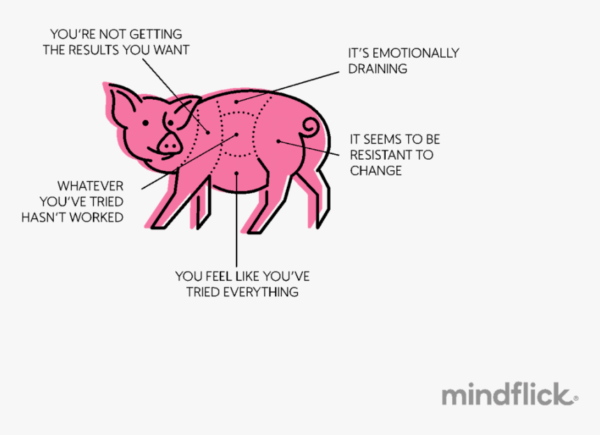 Pig Wrestling - Wrestling Pigs, HD Png Download