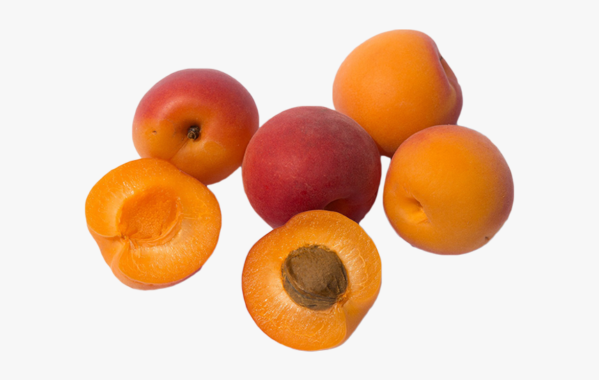 Clip Art Vegetables And Herbs Apricots - Large Apricots, HD Png Download