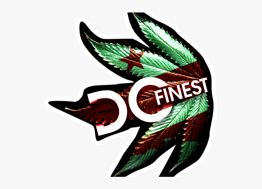 Portable Network Graphics, HD Png Download