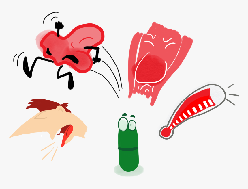 Broncochem Cold Flu Caplet Packs X Caplets, HD Png Download