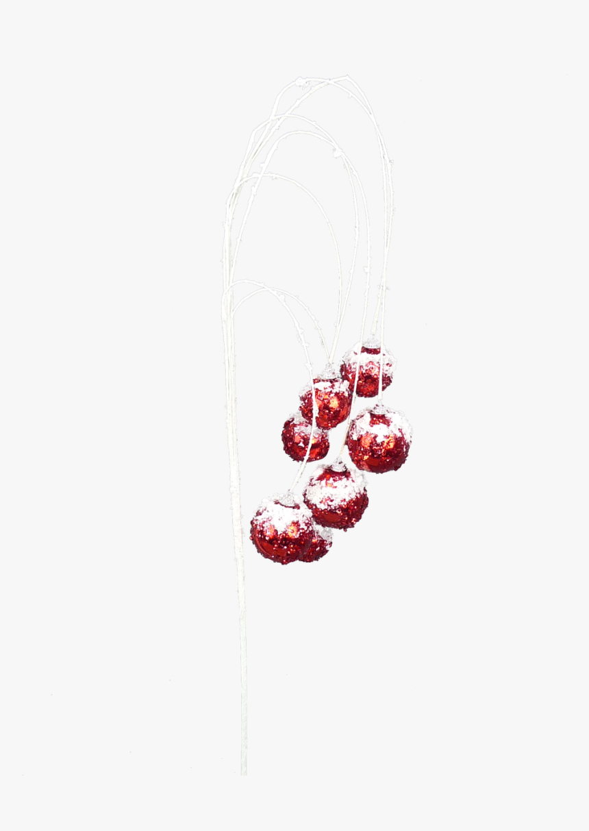 Snowcapped Dangling Red Ornament Spray - Arch, HD Png Download