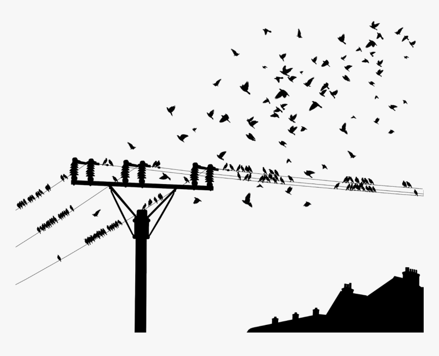 Bird On Powerline Png, Transparent Png