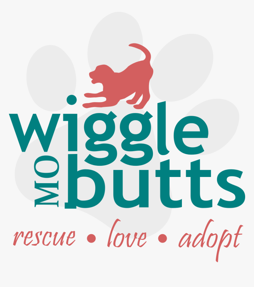 Design With Vinyl In Everything Give Thanks Wall Decal - Graphic Design, HD Png Download