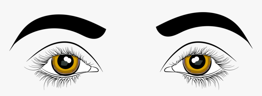 Transparent Eyes Cartoon Png - Human Eyes Clip Art, Png Download