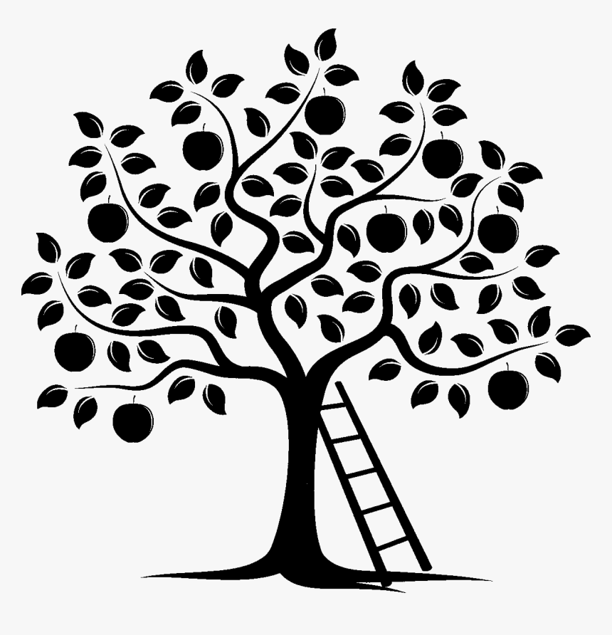 Transparent Sombra Png - Fruit Tree Vector, Png Download