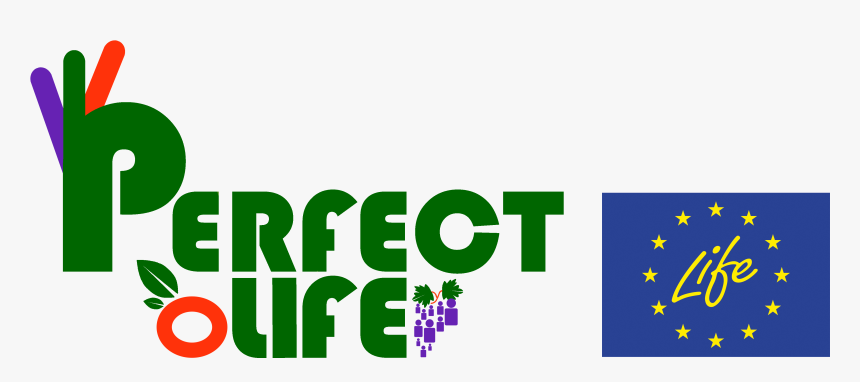 Perfect Life - Life, HD Png Download