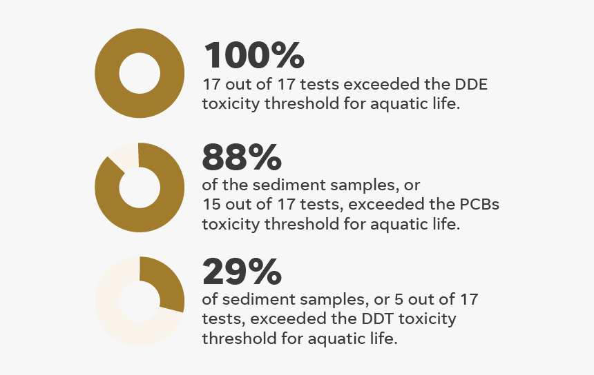 How Toxic Is The New River - Infographic, HD Png Download