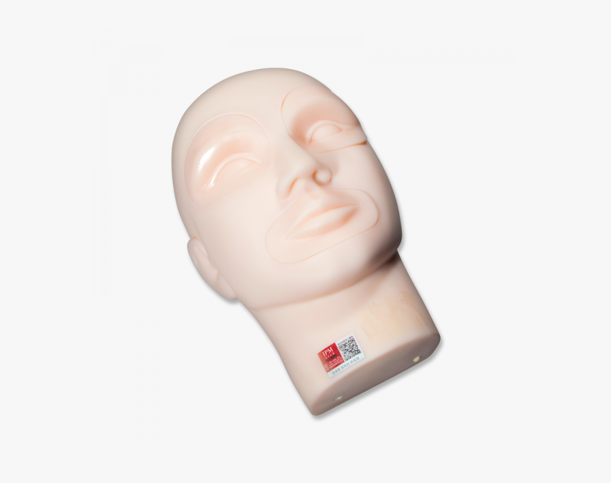 Practice Mannequin Head With Inserts - Bust, HD Png Download