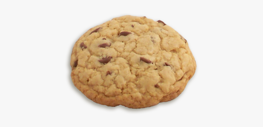 Chocolate Chip Cookie - Pignolo, HD Png Download