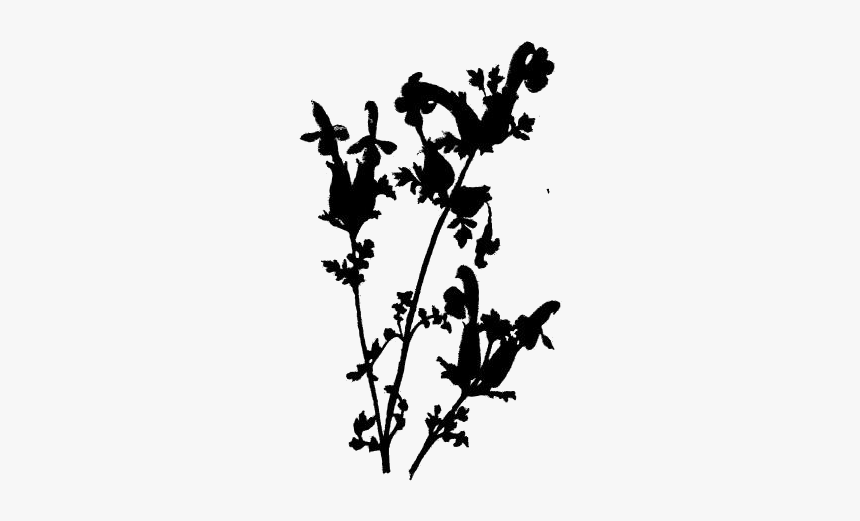 Transparent Wildflower Clipart, Wildflower Png Image - Silhouette, Png Download