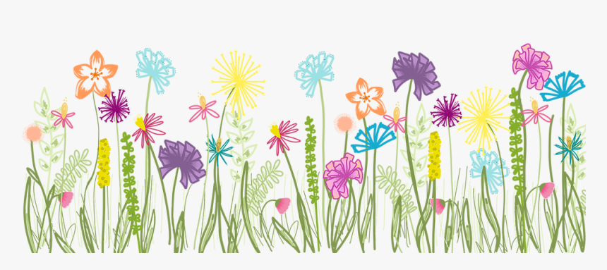 Untitled Artwork-1 - Aster, HD Png Download