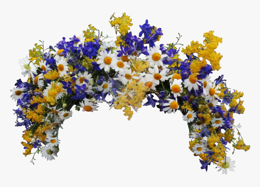 #flowers #crown #flowercrown #wildflowers #daisyflower - Wildflower Flower Crown Transparent, HD Png Download