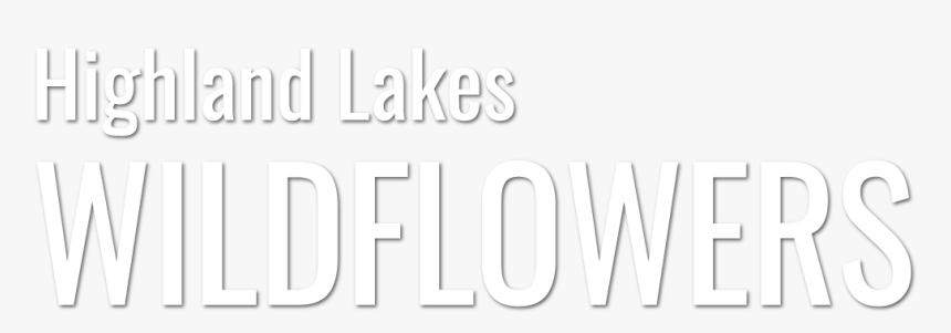 Darkness, HD Png Download