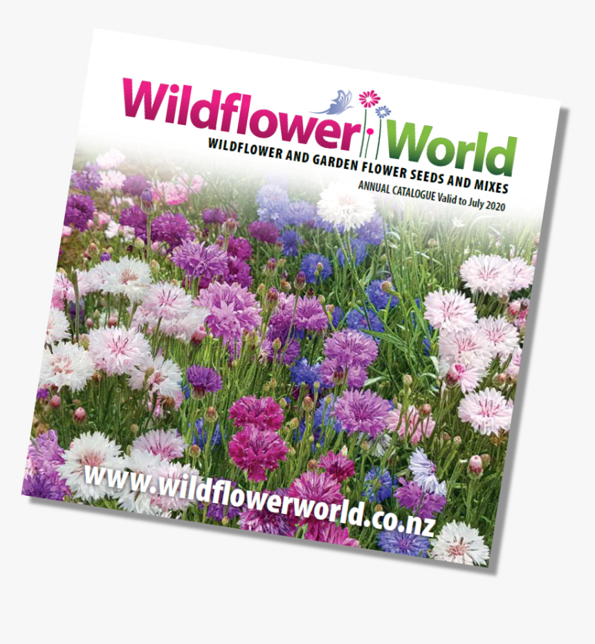 Wildflower Annual Catalogue Cover 2019 - Chrysanths, HD Png Download