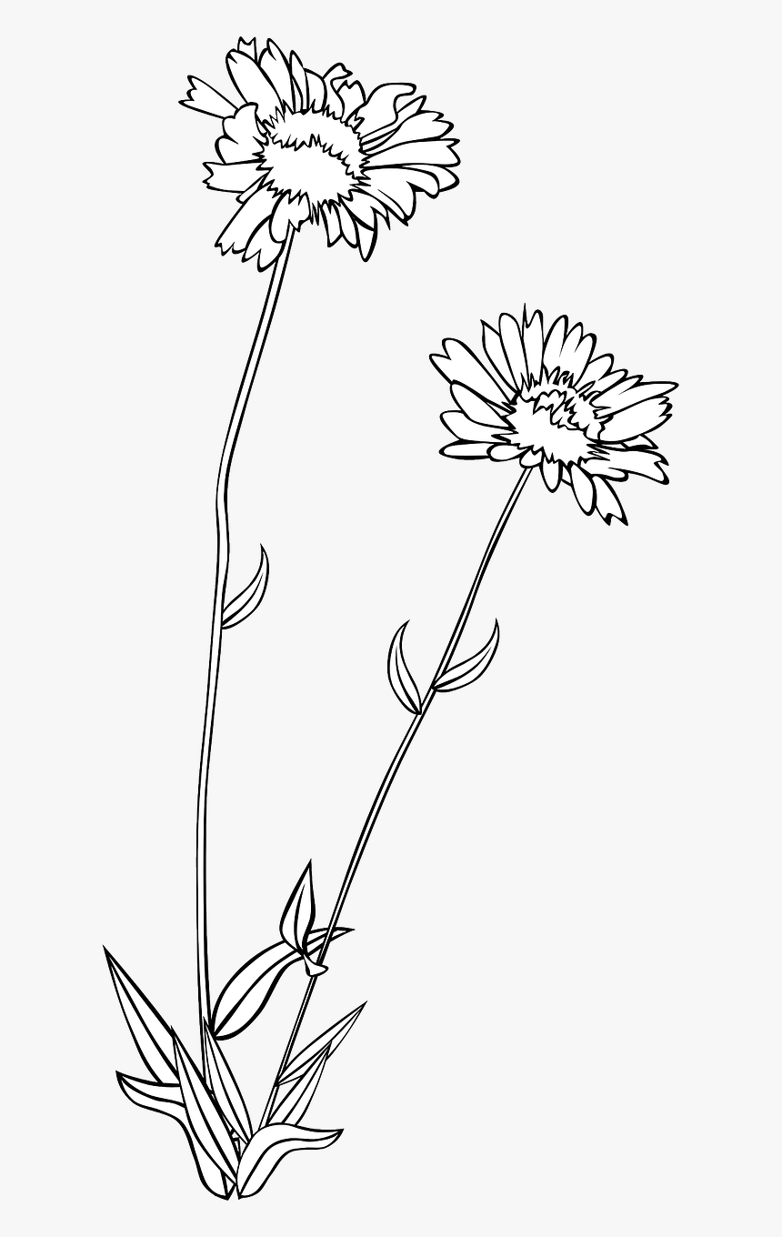 Wild Flower Clipart Png, Transparent Png