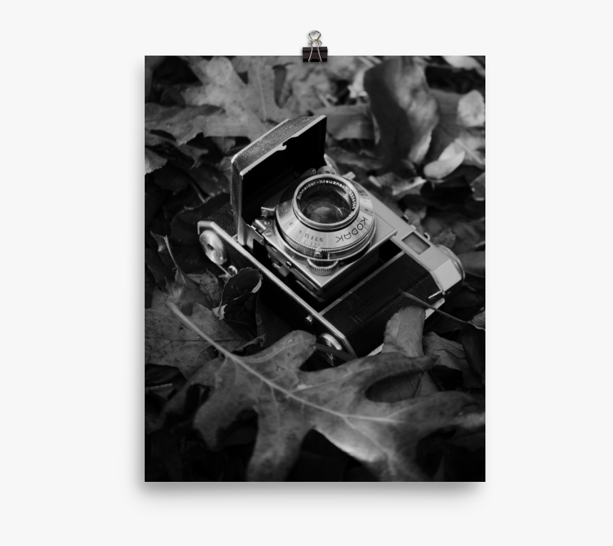 Still Life, HD Png Download