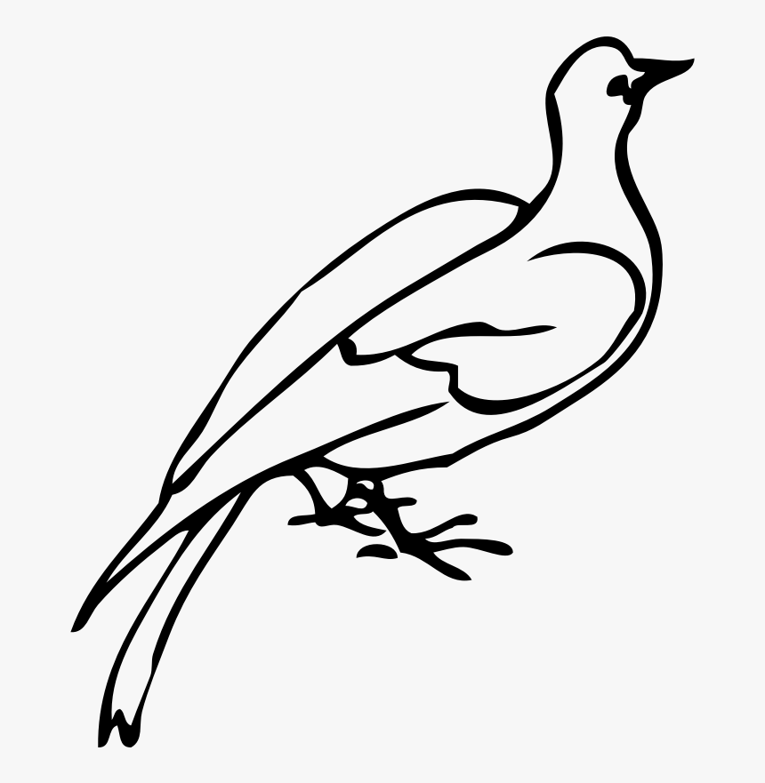 Dove Clip Art, HD Png Download