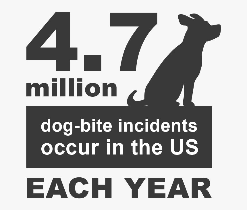 Dog Bite Statistics And Facts - Guard Dog, HD Png Download