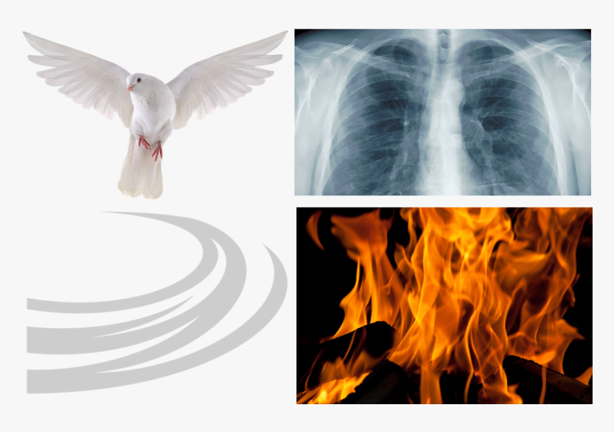 Holy Spirit Bird Breath Blow Burn - Flickering Fire, HD Png Download