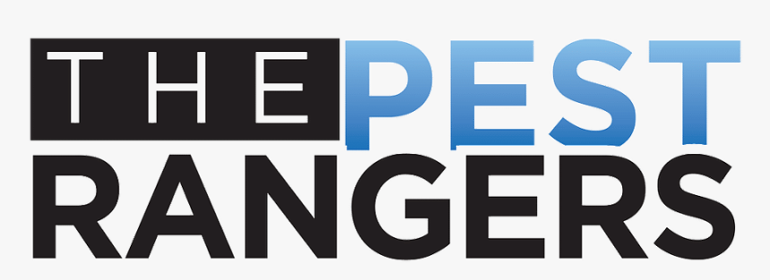 Logo - Signage, HD Png Download