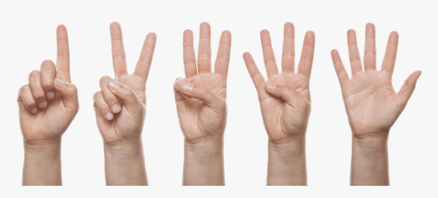 Get Finger Load20180523 Masha Point - Hand Counting 1 To 5, HD Png Download