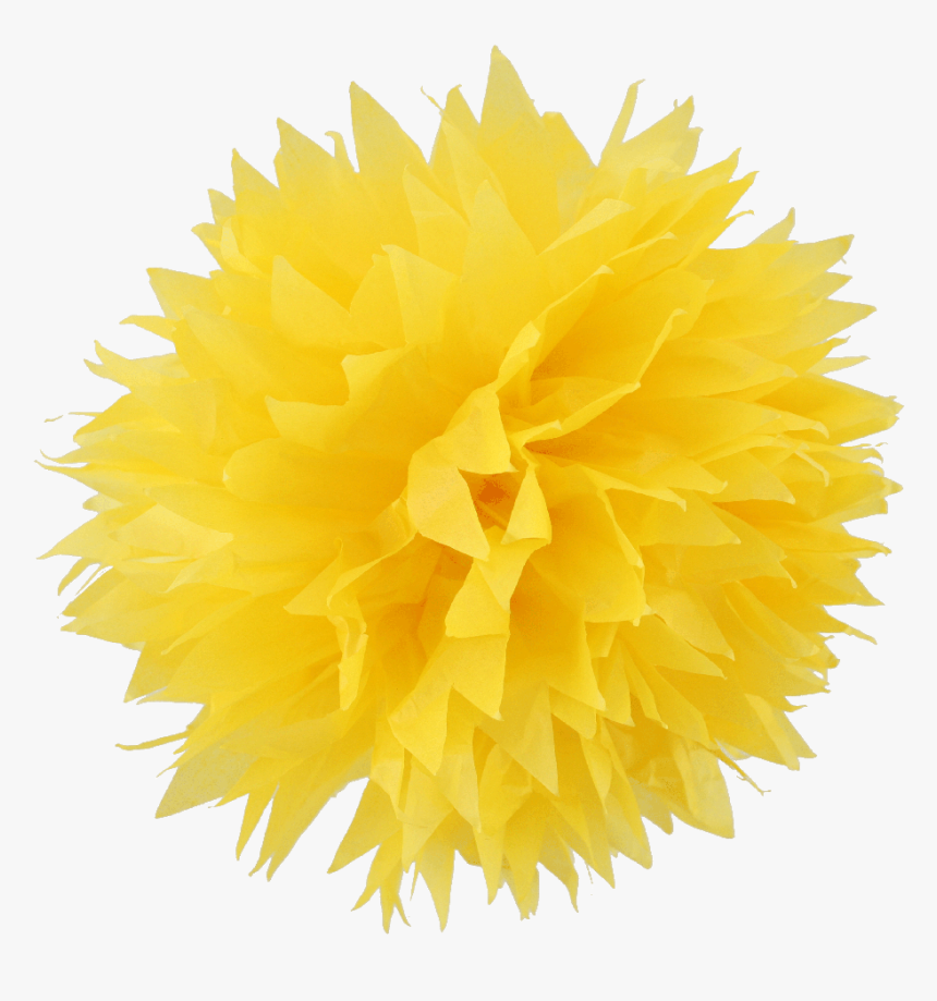 Transparent Pom Poms Png - Yellow Pom Pom Png, Png Download