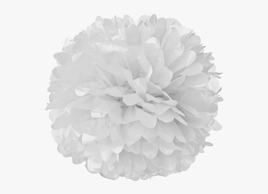White Tissue Pom Poms Pom Pom Png Transparent Png Transparent Png Image Pngitem