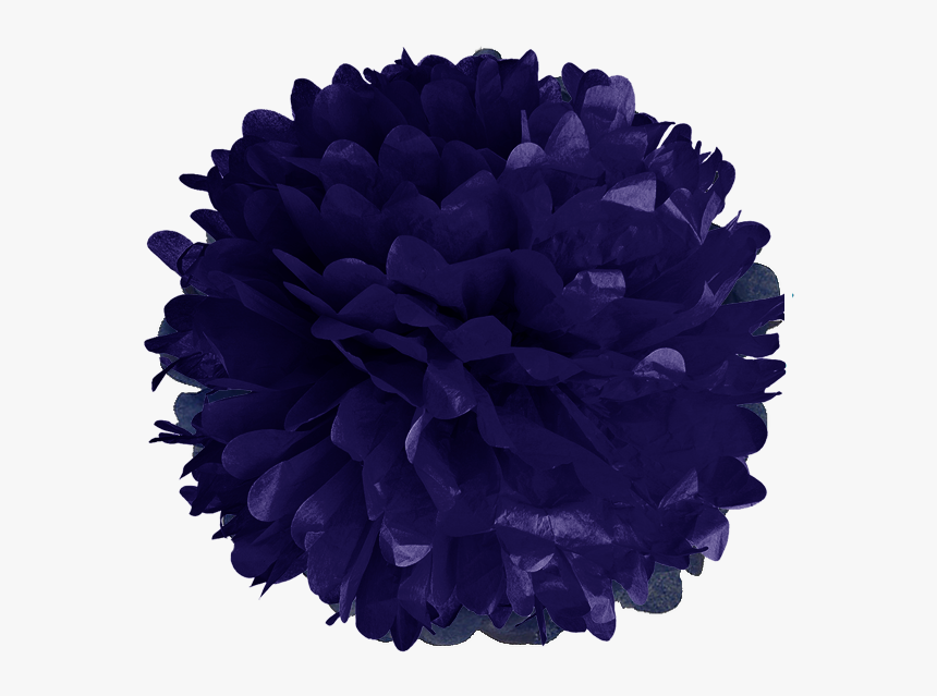 18 Navy Poms Clip Art, HD Png Download , Transparent Png Image PNGitem