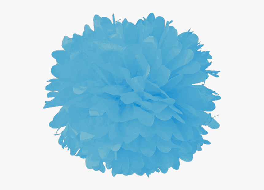 Powder Blue Tissue Pom Poms Pom Pom Png, Transparent Png