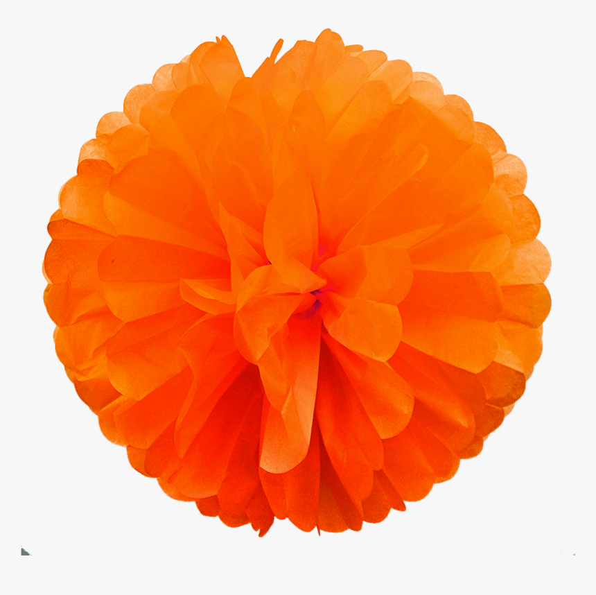 Orange Paper Pom Poms-33 - Ruffle, HD Png Download