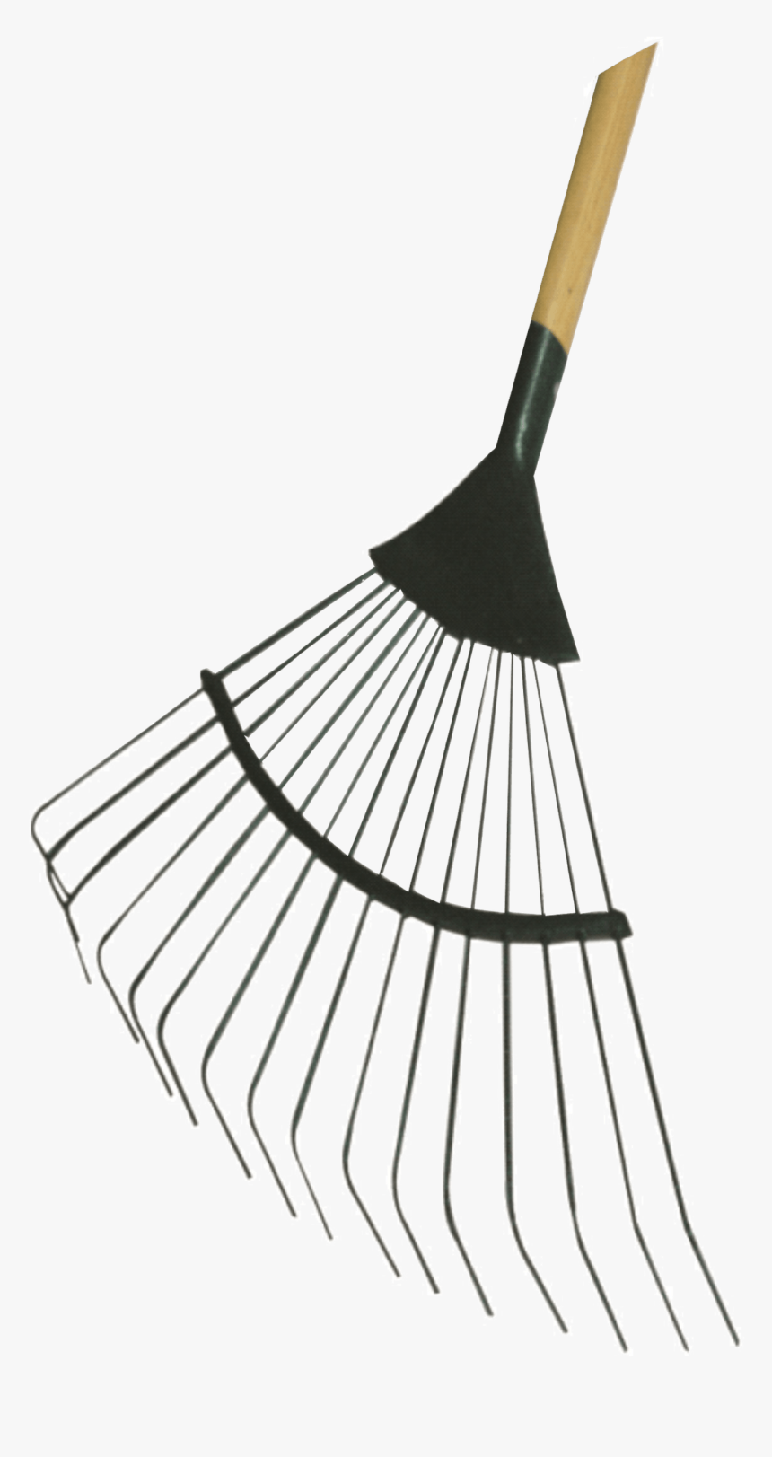 Wood, HD Png Download