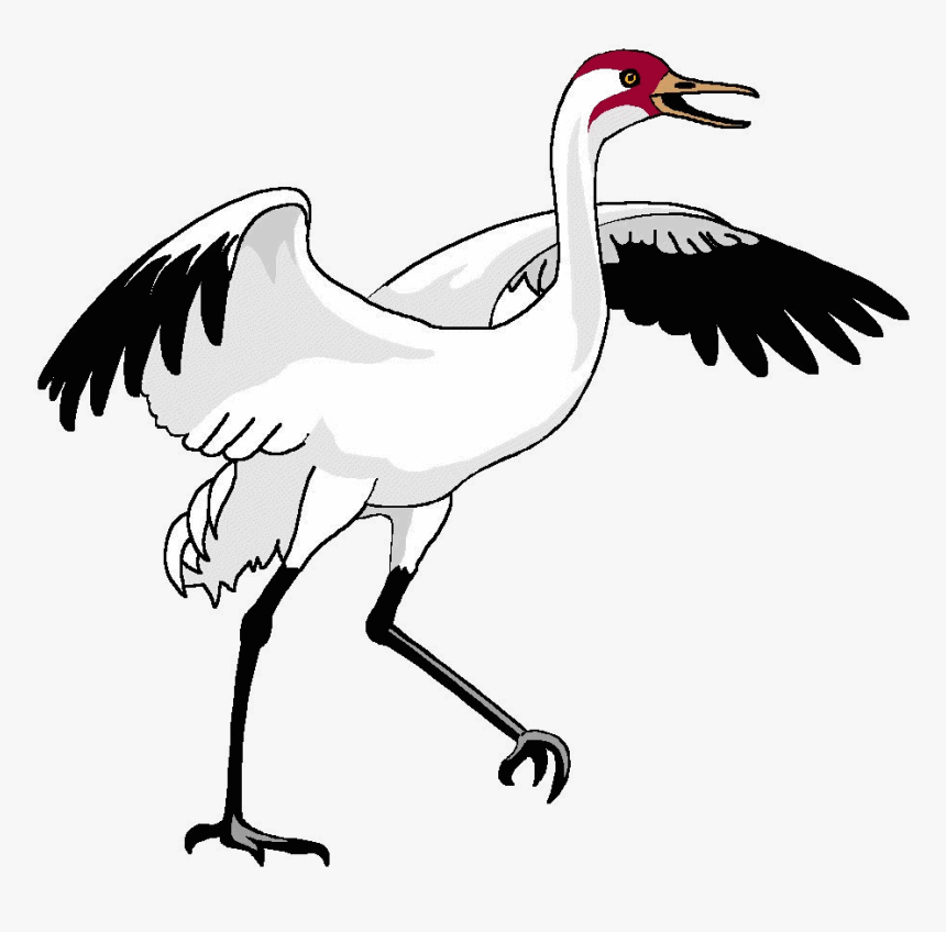 Bird Crane Clipart Transparent Png - Waterfowl, Png Download