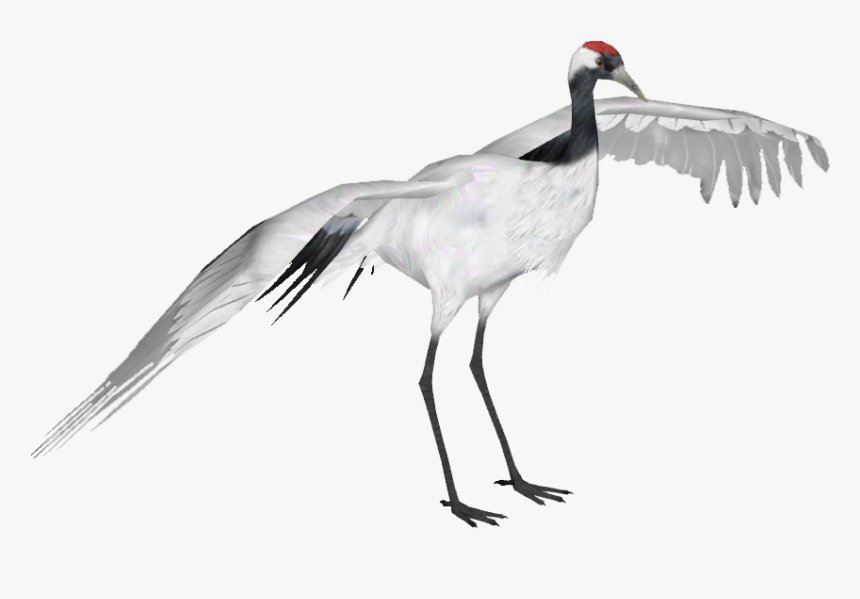 Red Crowned Crane - Transparent Red Crowned Crane, HD Png Download