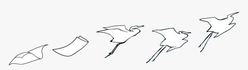Seabird, HD Png Download