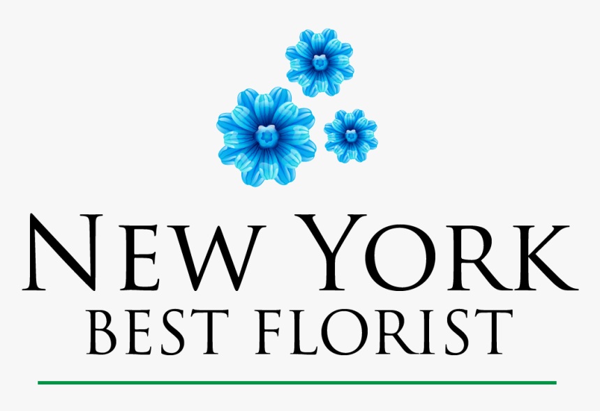 New York Best Florist - Centro De Enseñanza Técnica Y Superior, HD Png Download