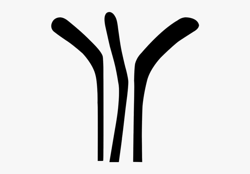 Ice Hockey Stick Png Transparent Images - Hand, Png Download