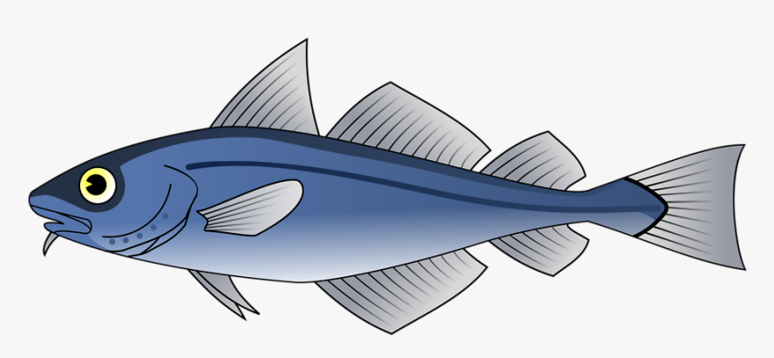 Fish Cod Clipart Collection Codfish Etc Transparent - Fish Respiratory System, HD Png Download