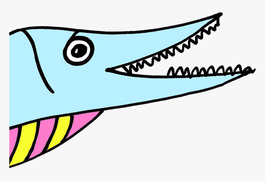 Thanks From The Harbor Porpoise, Seals And Cod Clipart, HD Png Download