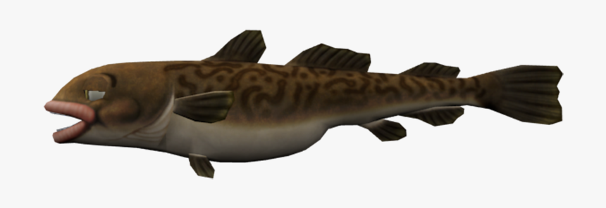 Download Zip Archive - Tiger Shark, HD Png Download
