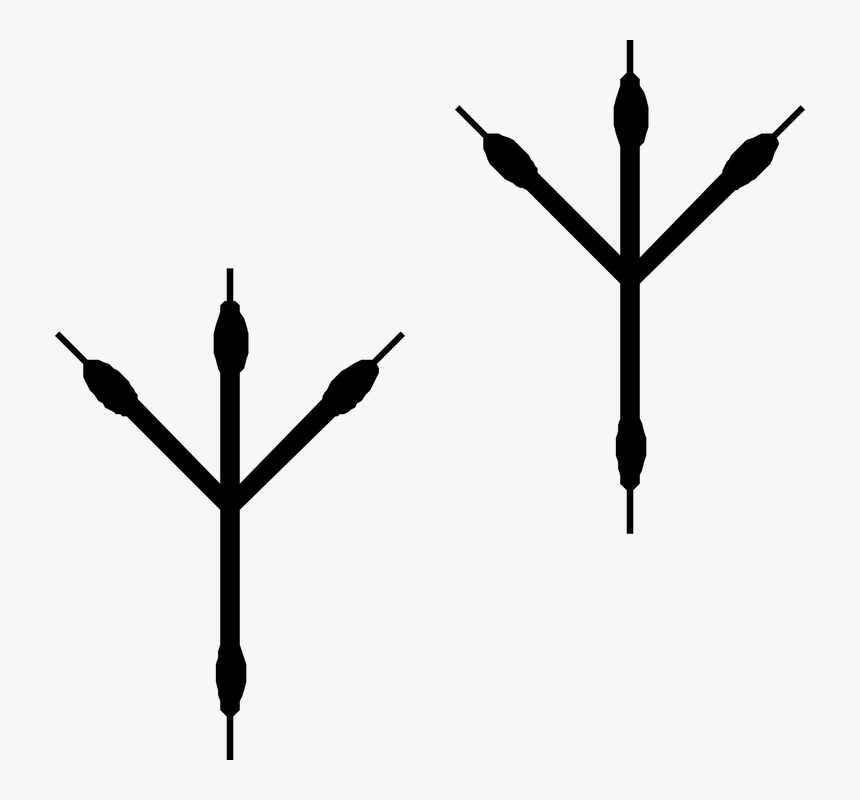 Bird Footprints Transparent Background, HD Png Download