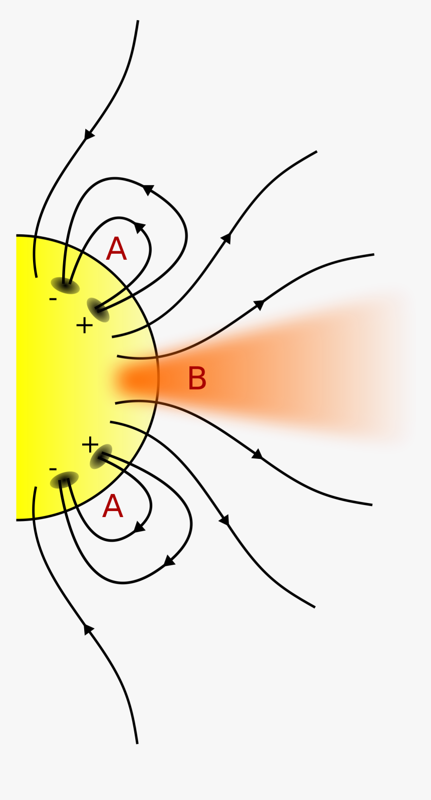 Coronal Holes - Magnetic Field Lines In Coronal Holes, HD Png Download