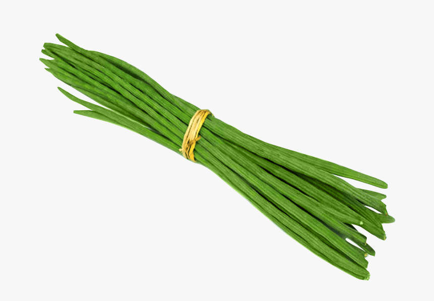 Vegetable Png Images - Drumstick Vegetable Png, Transparent Png