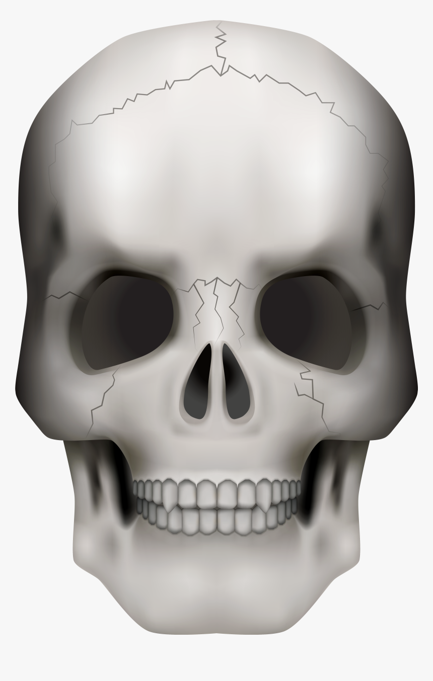 Transparent Transparent Background Skull Png , Png - Transparent Background Skull Clipart, Png Download