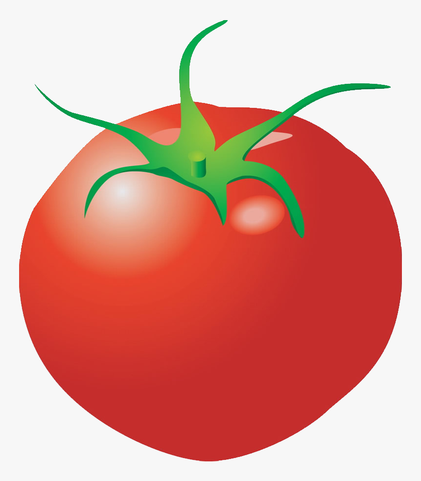 Clipart Vegetables Tomato - Dibujo De Verduras Png, Transparent Png