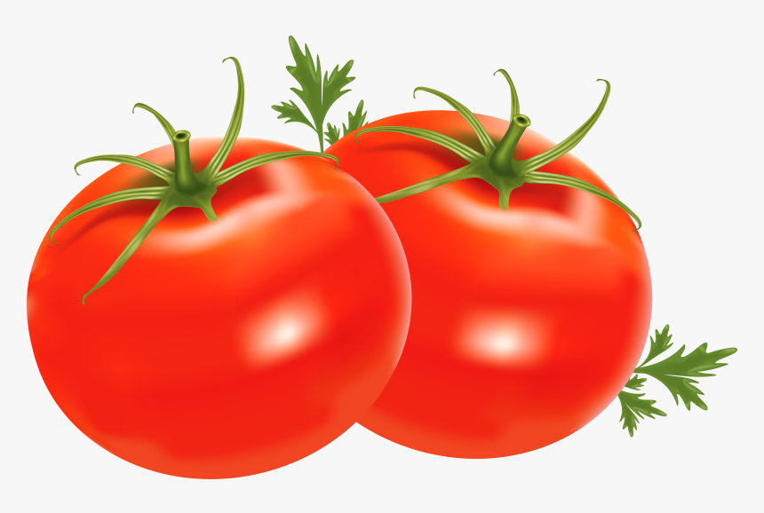 Transparent Clipart Backround - Transparent Background Tomato Clipart, HD Png Download