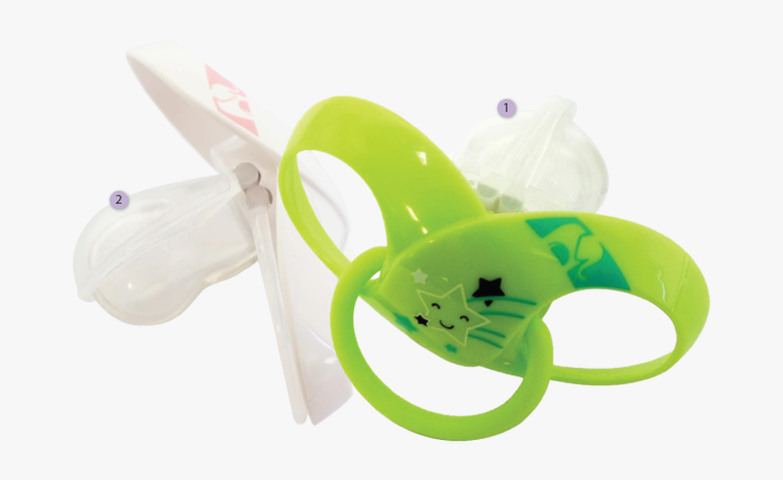 Insect, HD Png Download