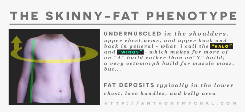 Transparent Fat Guy Png - Skinny Fat, Png Download