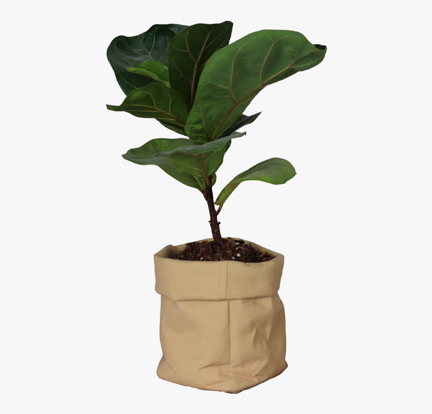 Kraft Paper Bag Design Cement Flower Pot With Paint - Houseplant, HD Png Download