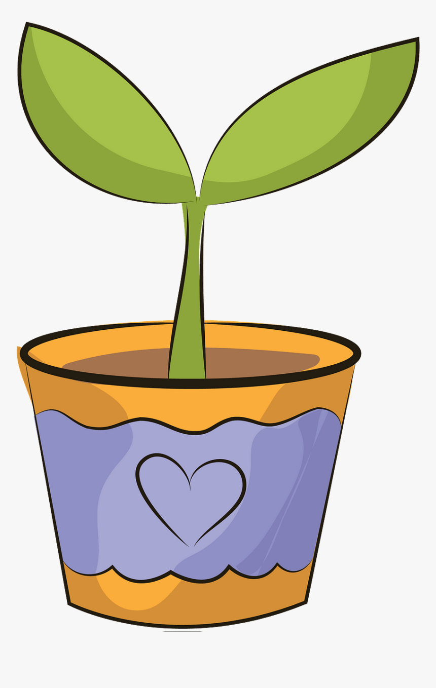Flower Wit Pot Clipart, HD Png Download
